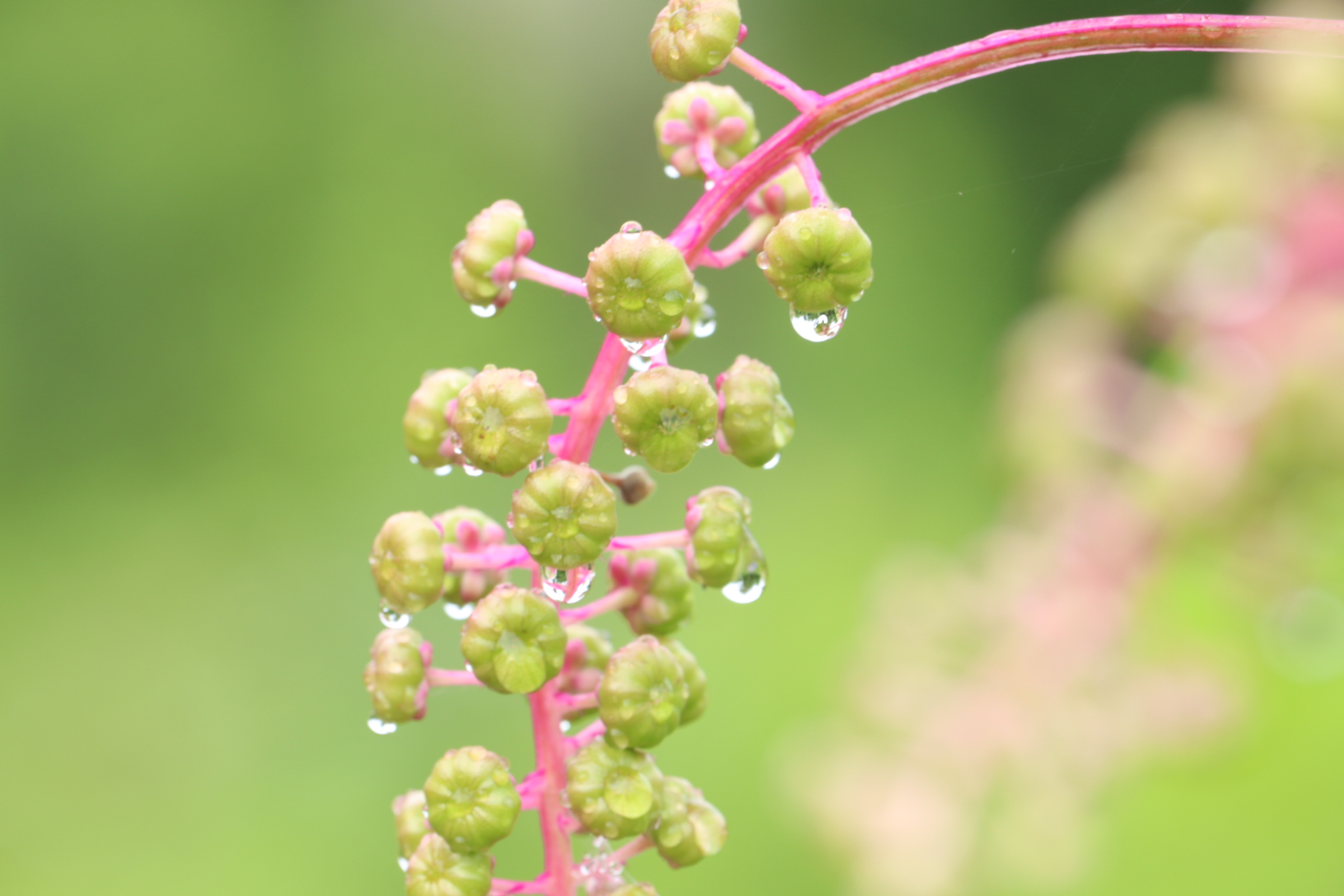 Photography thumbnail